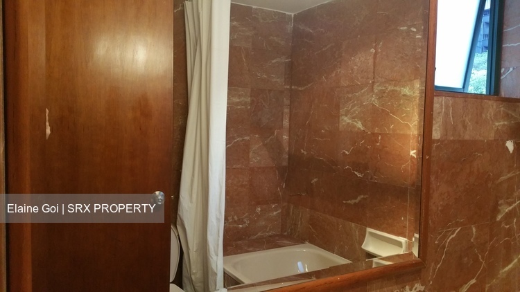 Holland Road (D10), Apartment #211844221